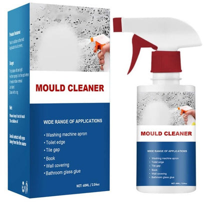 Anti-mould cleaning foam